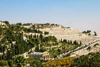 Apostle Paul Project